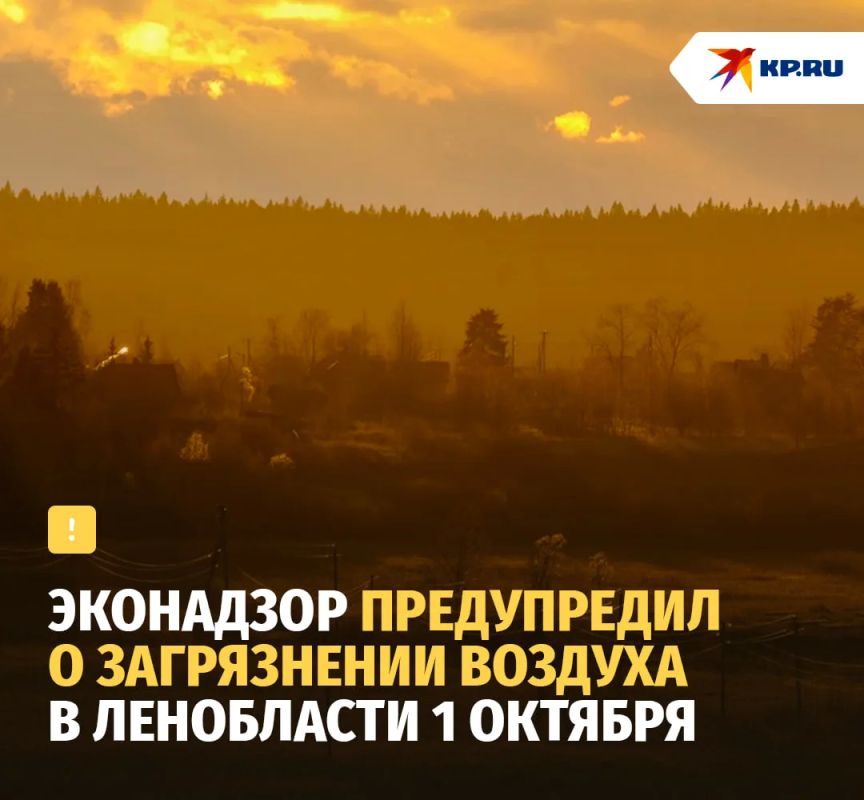 Эконадзор предупредил о загрязнении воздуха в Ленобласти 1 октября