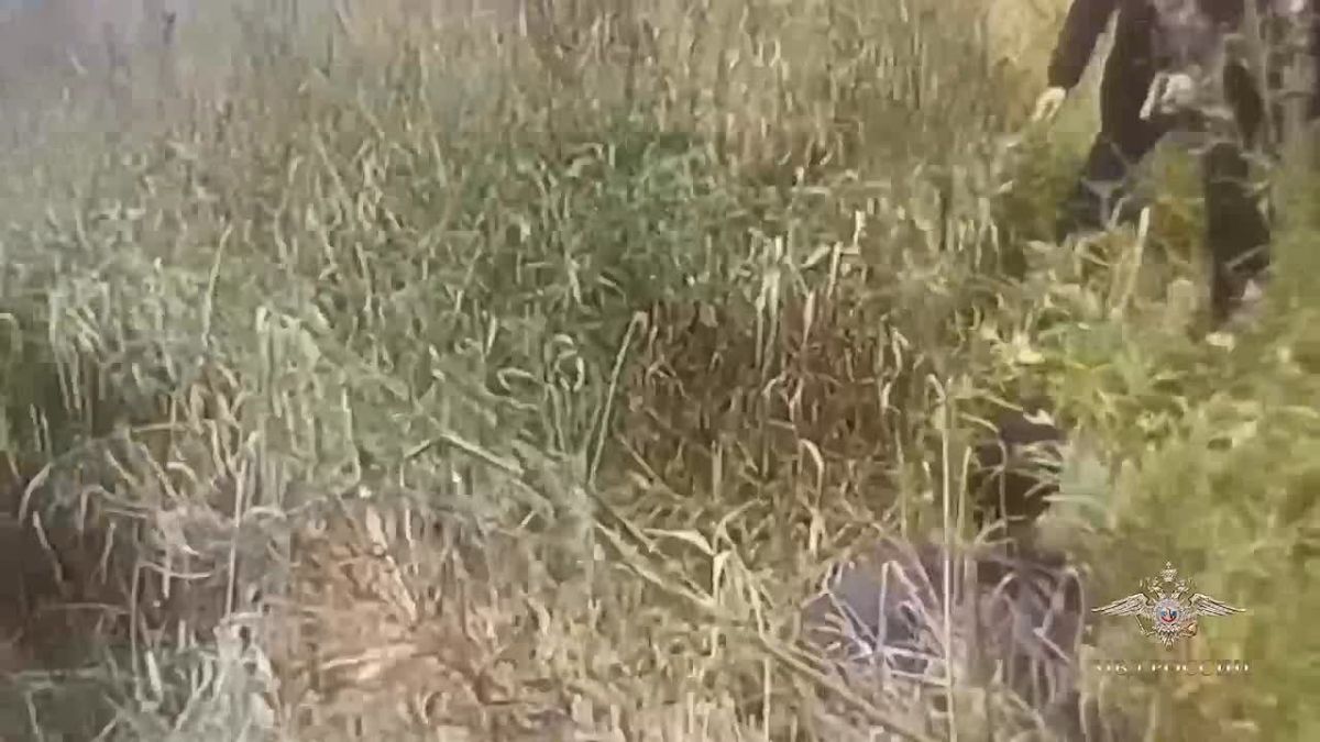 Неадекват ранил 4 человек ножом в Вистино