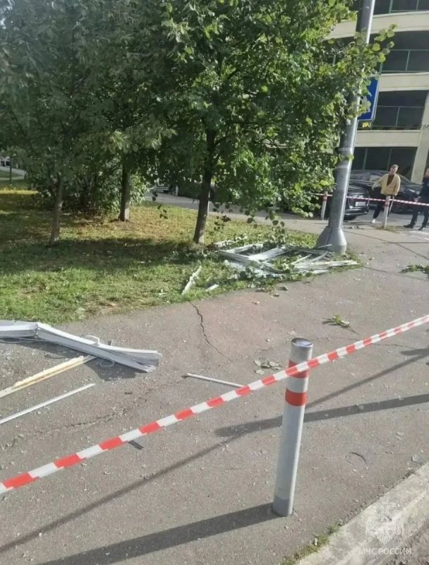 Взрыв газа в московской квартире мог спровоцировать кот Взрыв газа в московской квартире мог спровоцировать кот