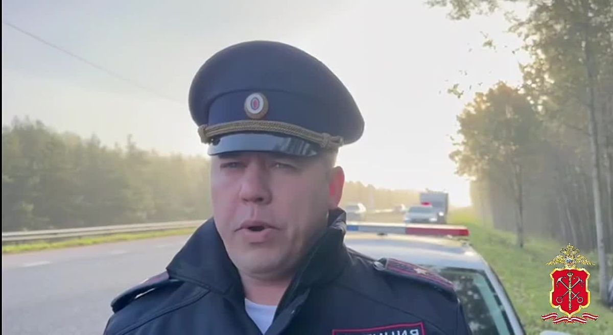 Полиция проводит проверку по факту смертельного ДТП в Кировском районе Ленинградской области