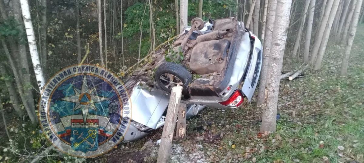 Водитель "Лады" погиб на трассе "Кола" в Ленобласти