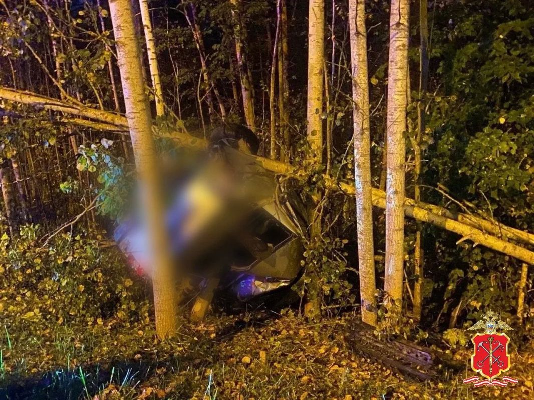 Полиция проводит проверку по факту смертельного ДТП в Кировском районе Ленинградской области Полиция проводит проверку по факту смертельного ДТП в Кировском районе Ленинградской области