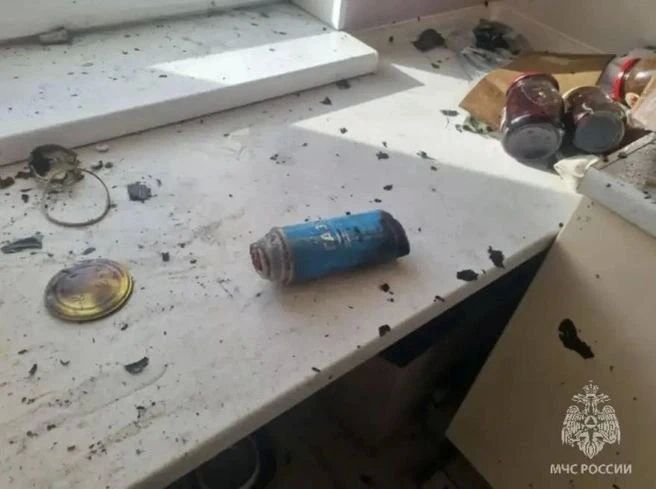 Взрыв газа в московской квартире мог спровоцировать кот Взрыв газа в московской квартире мог спровоцировать кот