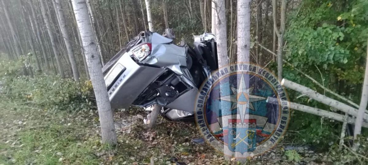 Водитель "Лады" погиб на трассе "Кола" в Ленобласти Водитель "Лады" погиб на трассе "Кола" в Ленобласти