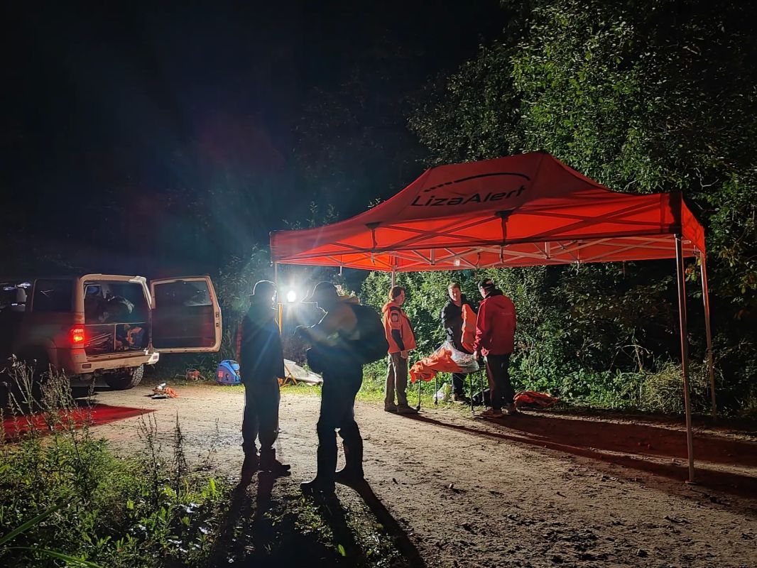 В Ленобласти волонтеры нашли заблудившихся в лесу отца с восьмилетней дочерью