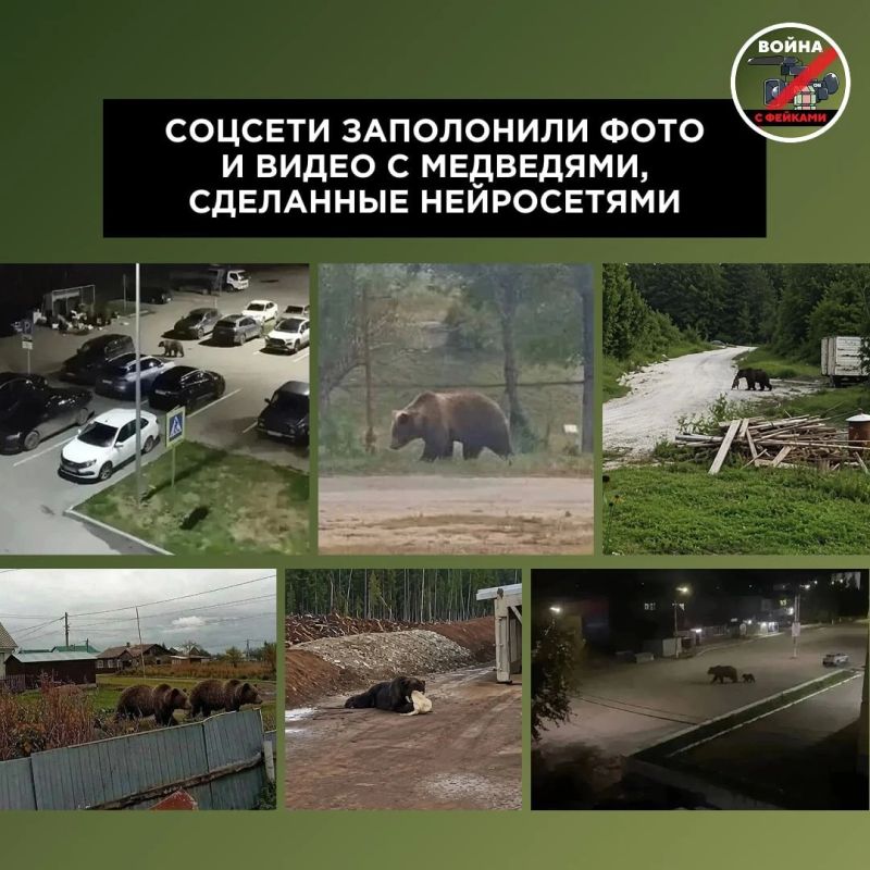 Медведи и фейки: где реальная угроза, а где ИИ-паника
