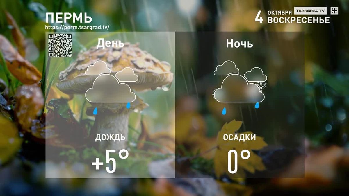 О чем я думаю? О падающих звездах