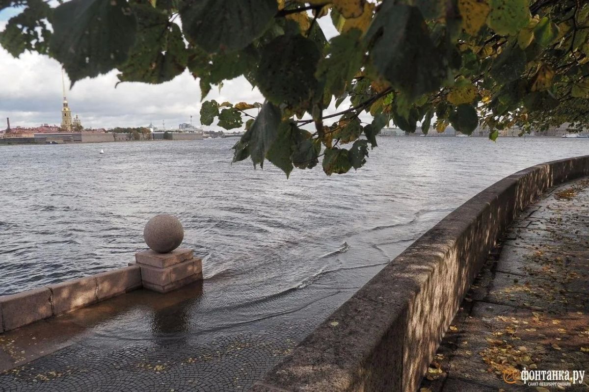 Уровень воды в Неве поднялся до «самой высокой отметки в этом году» — 122 сантиметров