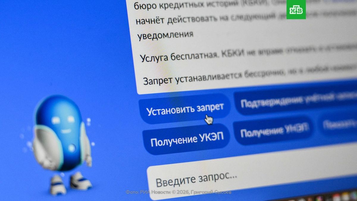 На «Госуслугах» появится красная и зеленая кнопка