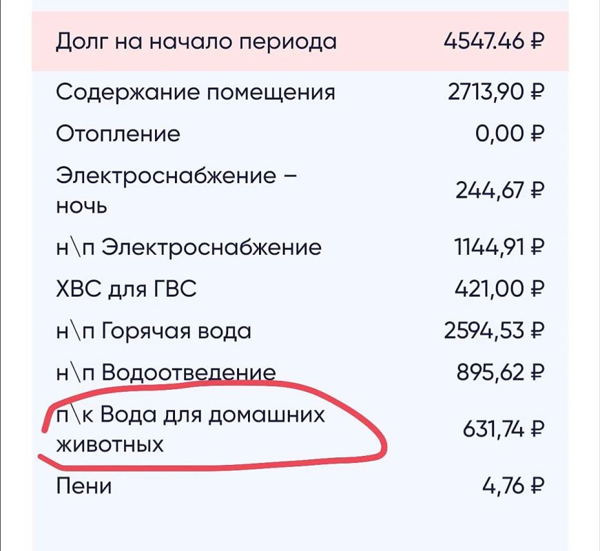 Кот, ты нам должен! В Набережных Челнах жильцам пришли счета со строкой за «воду для домашних животных»