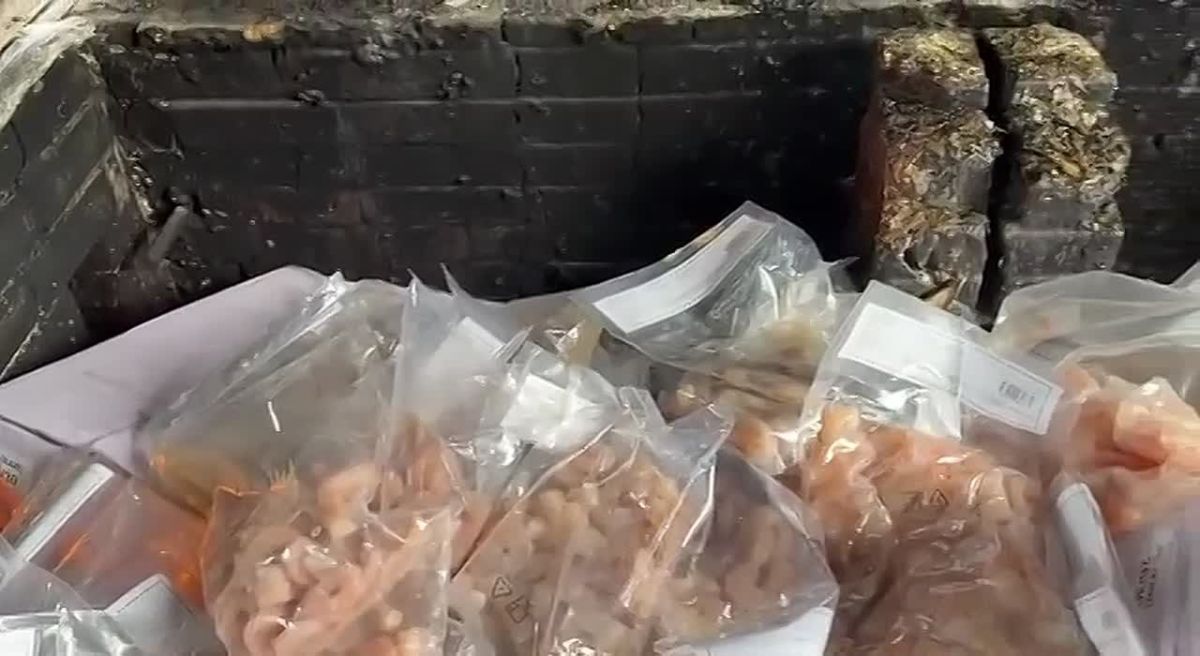 20 тонн креветок из Индии сожгли в Петербурге