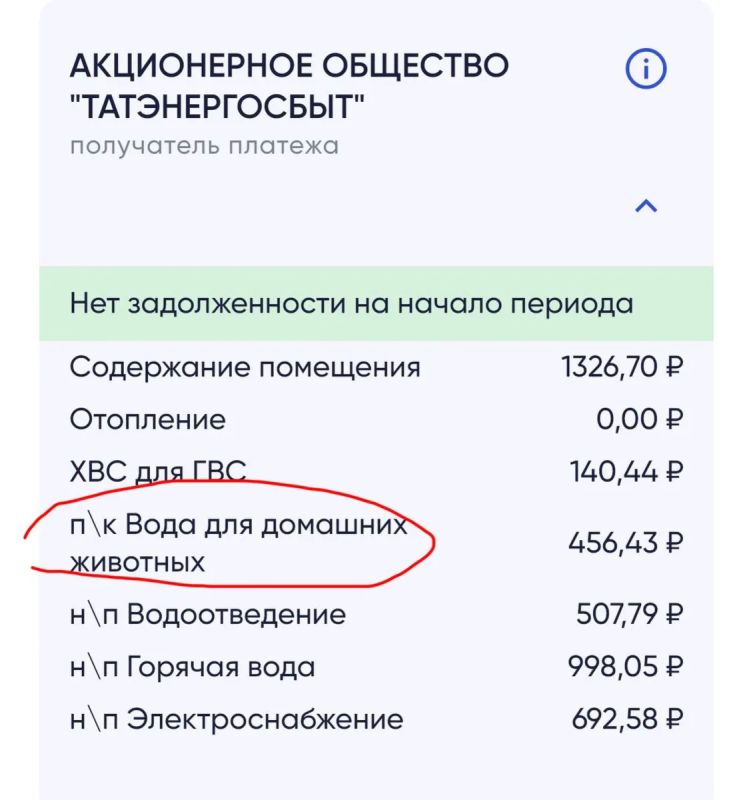 Кот, ты нам должен! В Набережных Челнах жильцам пришли счета со строкой за «воду для домашних животных» Кот, ты нам должен! В Набережных Челнах жильцам пришли счета со строкой за «воду для домашних животных»