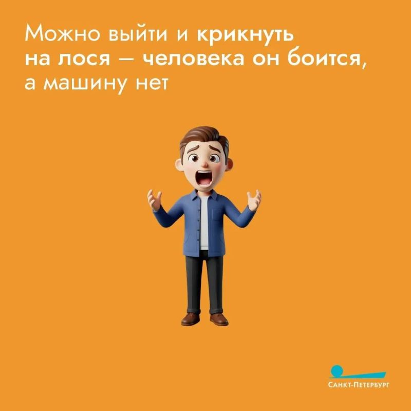 Лоси все чаще выходят на дороги, особенно в сумерках и ночью, когда их сложно заметить, что создает серьезную угрозу для водителей Лоси все чаще выходят на дороги, особенно в сумерках и ночью, когда их сложно заметить, что создает серьезную угрозу для водителей