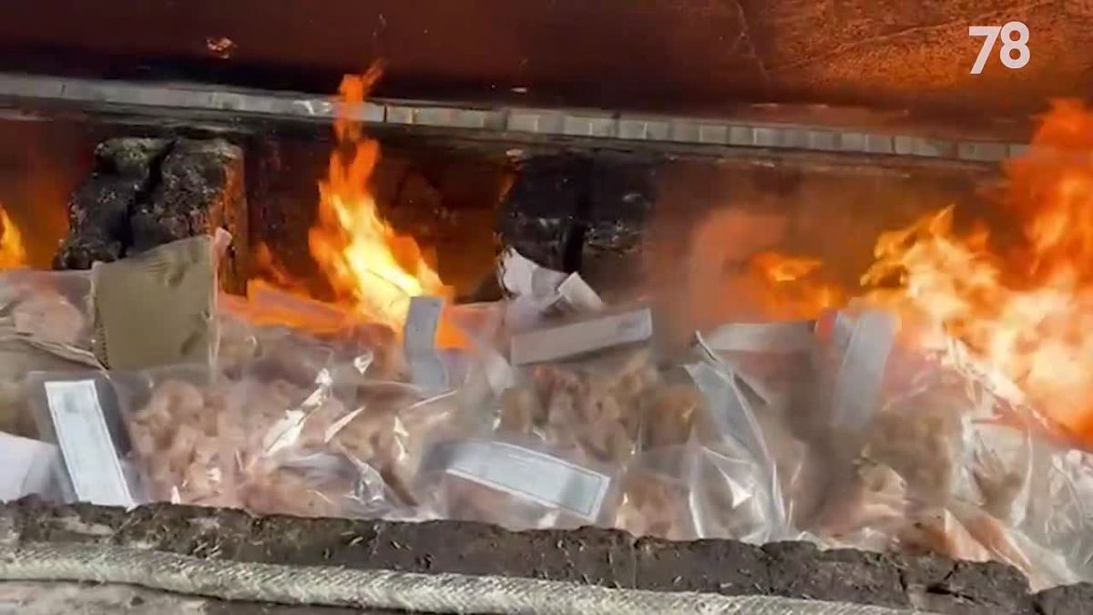 «Обед» из 20 тонн креветок приготовили в Петербурге
