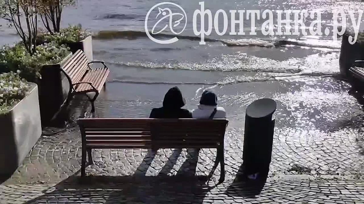 Момент, который заслужил каждый петербуржец