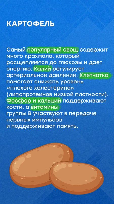 Осенью садоводы собирают урожай Осенью садоводы собирают урожай