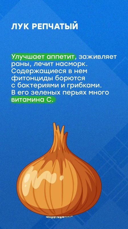 Осенью садоводы собирают урожай Осенью садоводы собирают урожай
