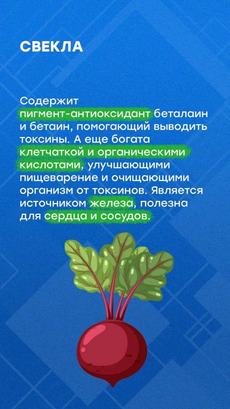 Осенью садоводы собирают урожай Осенью садоводы собирают урожай