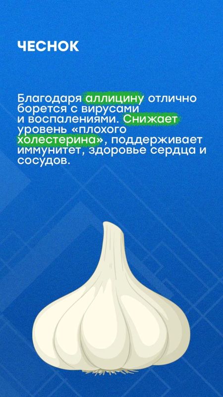 Осенью садоводы собирают урожай Осенью садоводы собирают урожай
