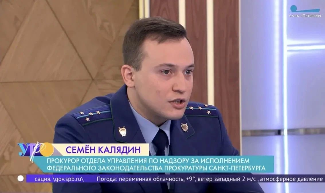 Сохранение зелёного фонда города: правила и ответственность