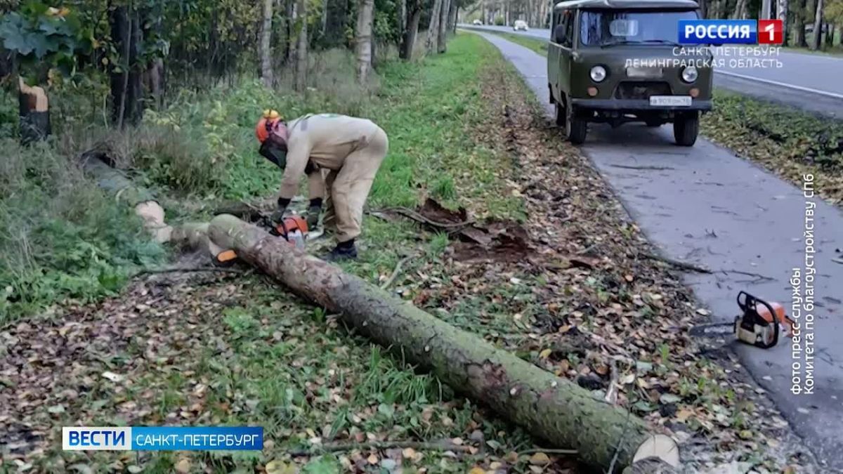 СК начал проверку после падения металлоконструкции с дома в Ломоносовском районе
