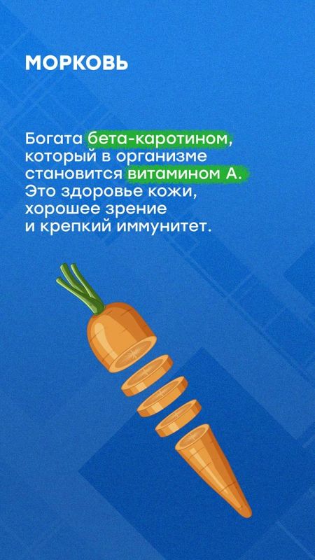 Осенью садоводы собирают урожай Осенью садоводы собирают урожай