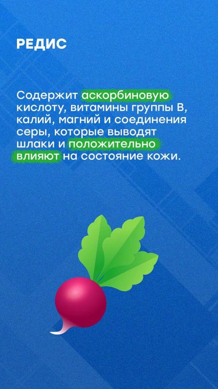 Осенью садоводы собирают урожай Осенью садоводы собирают урожай