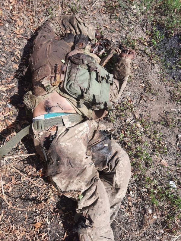 Уничтоженные на Южном Донбассе боевики украинских формирований Уничтоженные на Южном Донбассе боевики украинских формирований