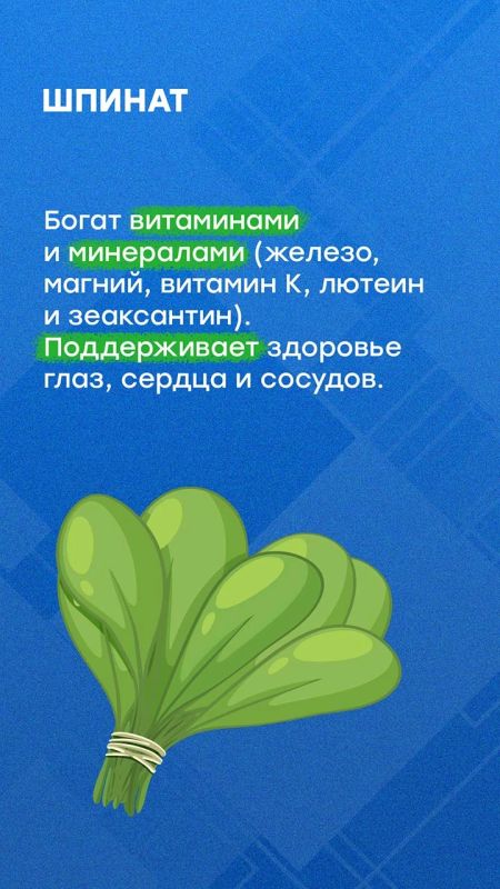 Осенью садоводы собирают урожай Осенью садоводы собирают урожай