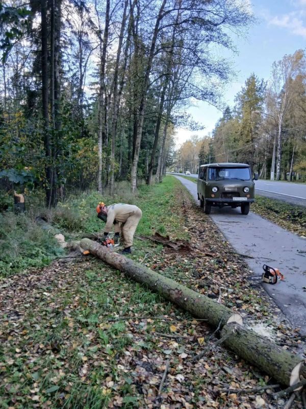 Коммунальщики устранили последствия ураганного ветра в Петербурге Коммунальщики устранили последствия ураганного ветра в Петербурге