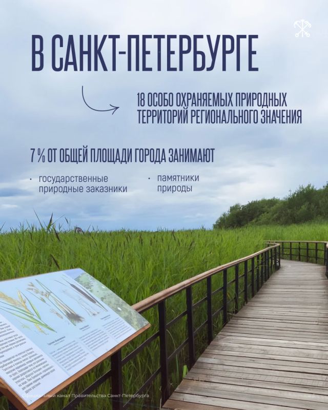 Петербург — город уникальной природы: в нём 18 особо охраняемых природных территорий, а экомаршруты ежегодно посещают порядка миллиона человек Петербург — город уникальной природы: в нём 18 особо охраняемых природных территорий, а экомаршруты ежегодно посещают порядка миллиона человек