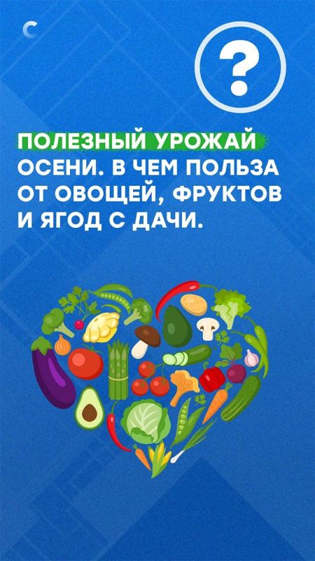 Осенью садоводы собирают урожай