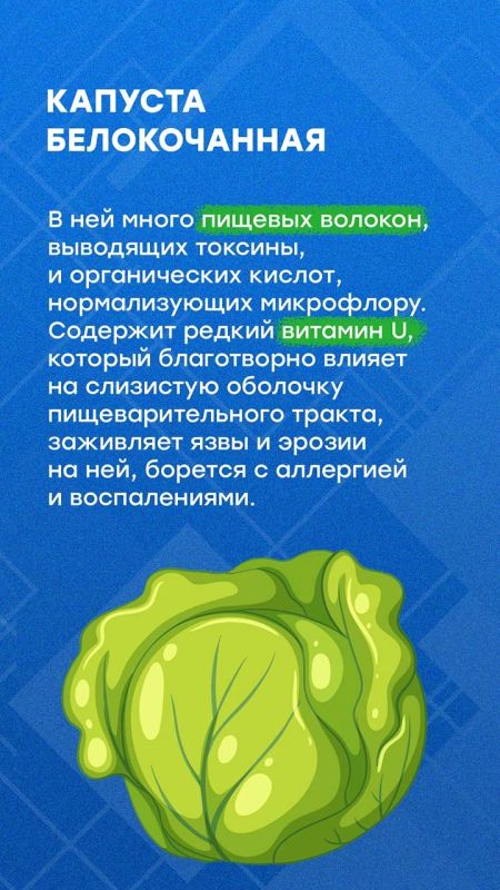 Осенью садоводы собирают урожай Осенью садоводы собирают урожай
