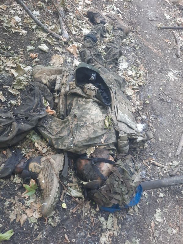 Уничтоженные на Южном Донбассе боевики украинских формирований Уничтоженные на Южном Донбассе боевики украинских формирований