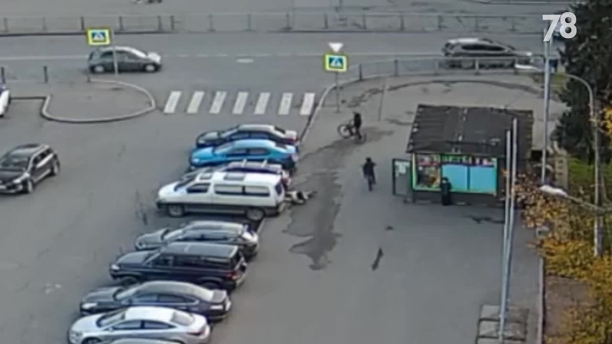 Самокатчица хотела увернуться от велосипеда, но врезалась в легковушку