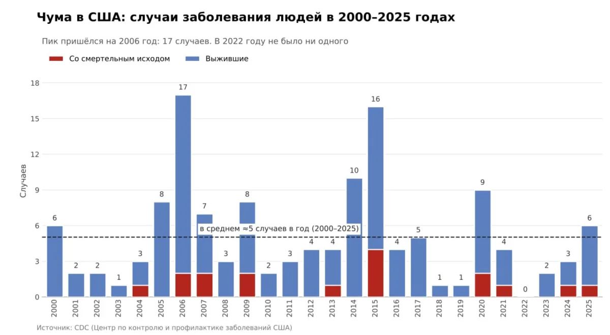 Чума в США и «чума» в России: Где рисуют цифры, а где тушат фейки