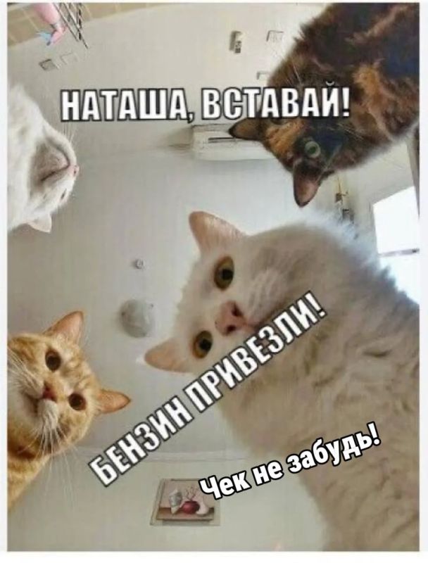 На петербургских АЗС уже начал появляться бензин классов К4, К3 и даже К2 — топливо с пониженными экологическими требованиями