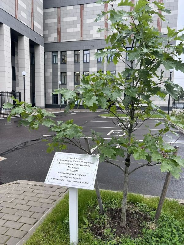 Архивный центр на Заневском проспекте, 54 представлен в номинации «Самый благоустроенный объект культуры» на городском смотре-конкурсе в составе объектов Красногвардейского района Архивный центр на Заневском проспекте, 54 представлен в номинации «Самый благоустроенный объект культуры» на городском смотре-конкурсе в составе объектов Красногвардейского района