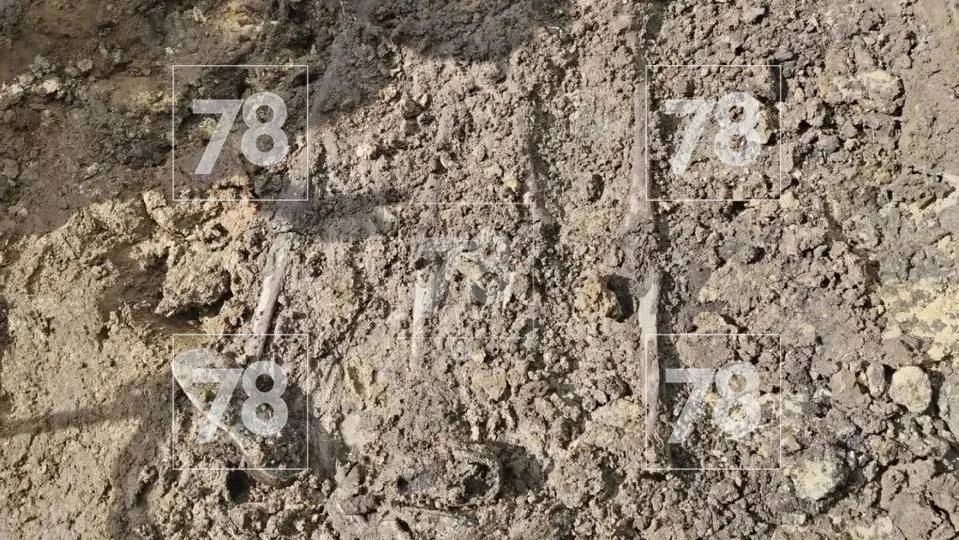 Под Изварой нашли останки 97 узников концлагеря "Дулаг-102" Под Изварой нашли останки 97 узников концлагеря "Дулаг-102"