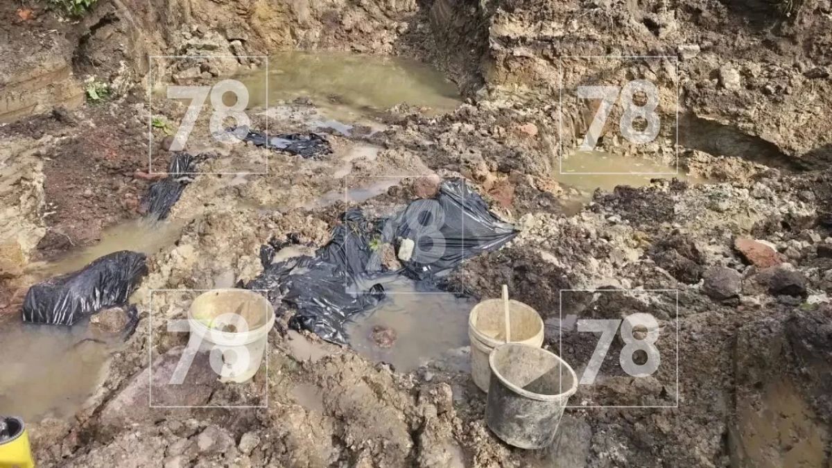 Под Изварой нашли останки 97 узников концлагеря "Дулаг-102" Под Изварой нашли останки 97 узников концлагеря "Дулаг-102"