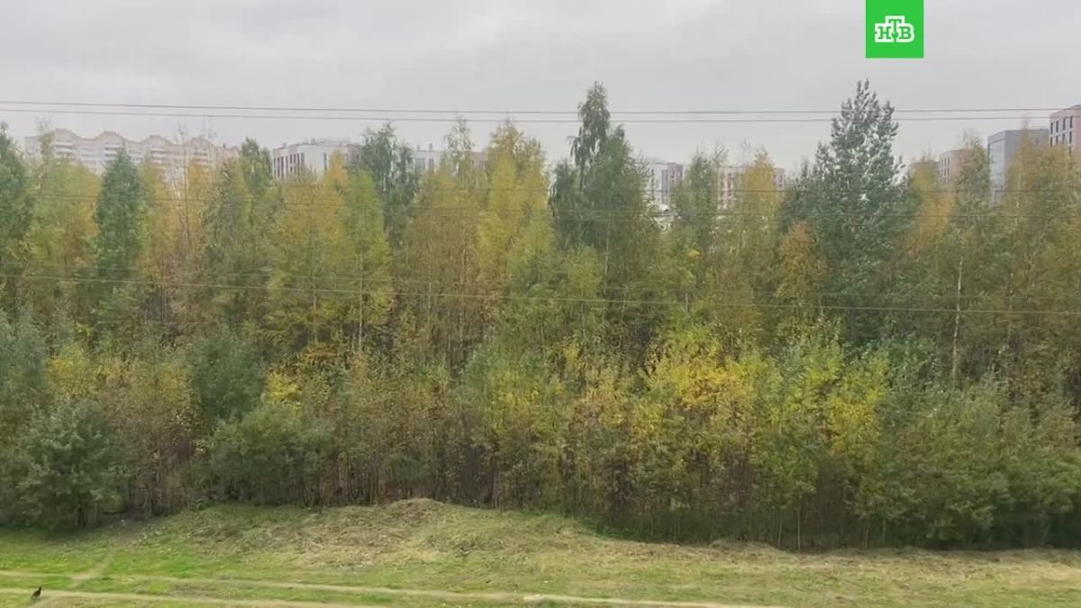 Сегодня с 10:30 до 11:00 во всех районах Петербурга звучали сирены и голосовые сообщения из громкоговорителей