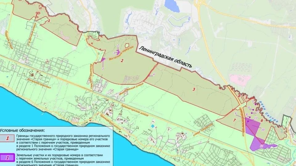 От Белоострова до Комарово в Петербурге хотят создать заказник площадью 1200 гектаров