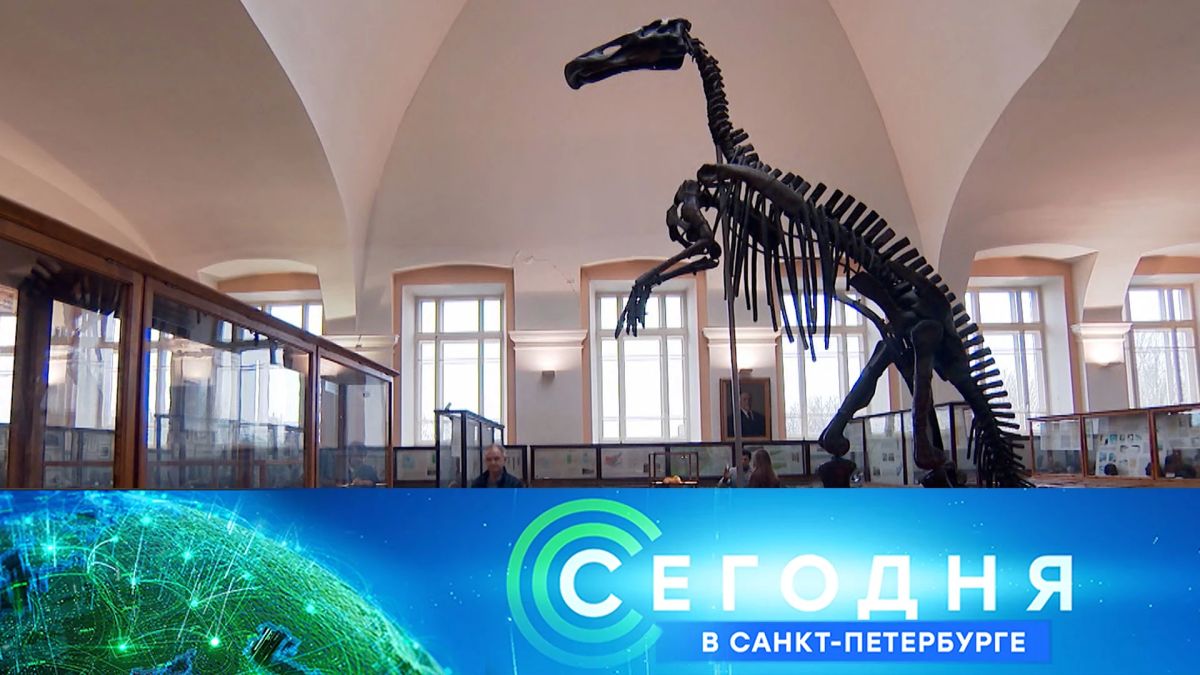Новые силы: на базе учебного центра ВМФ прошли занятия корабельных расчетов БПЛА