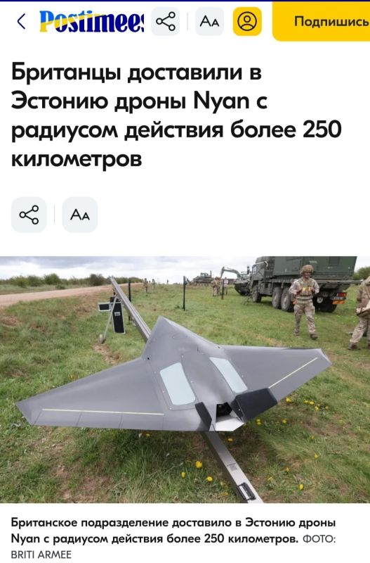 Первые серийные британские дальние дроны-камикадзе Nyan с дальностью 250 км доставлены в Эстонию, сообщают местные СМИ