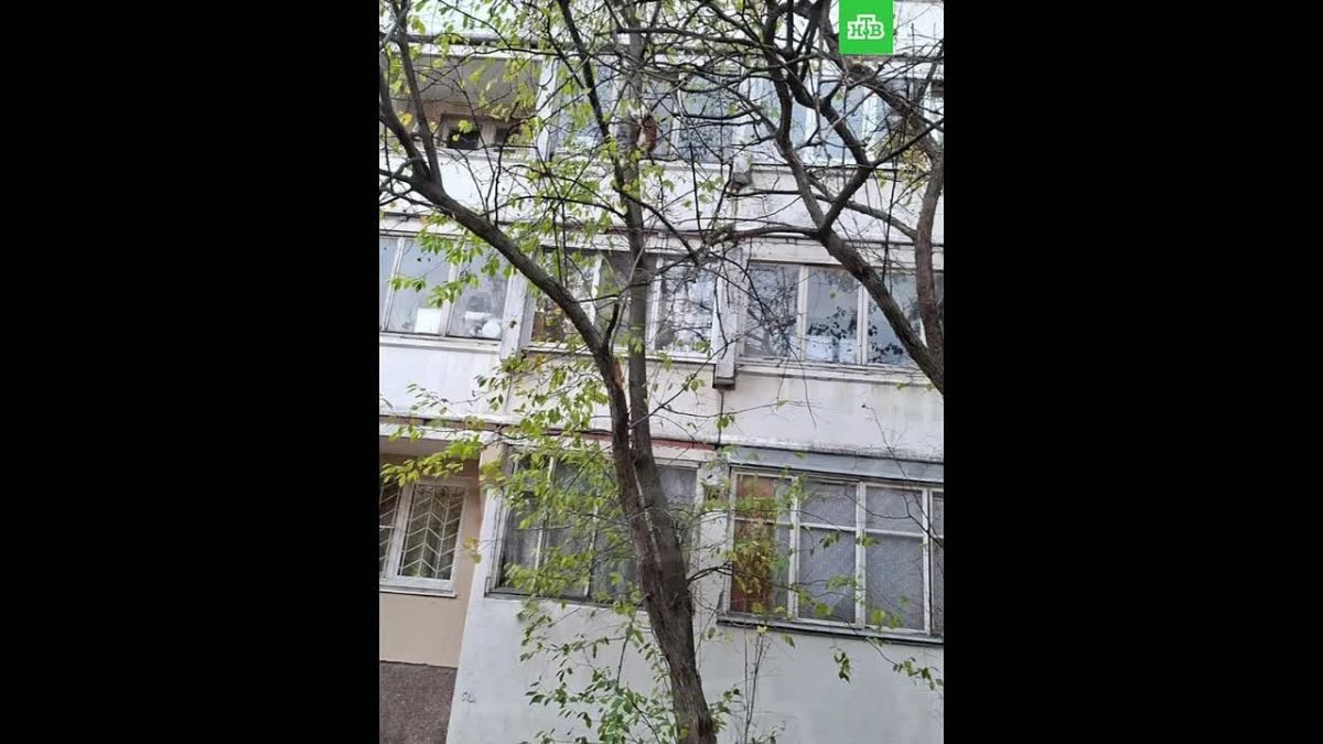 Не по долгу службы, а по велению сердца специализированные службы пришли на помощь коту и его хозяину