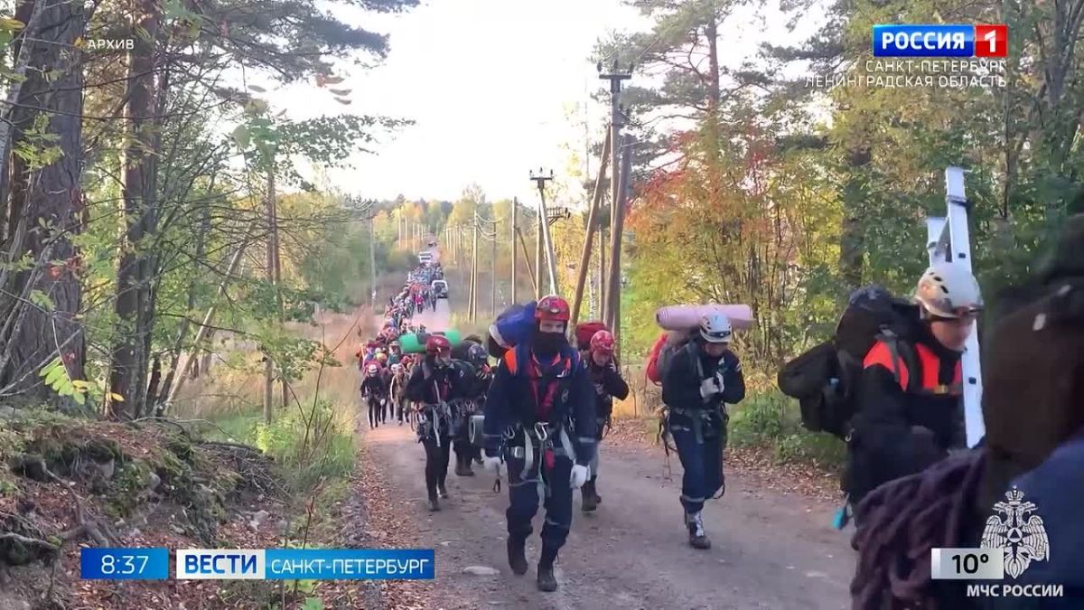 Учения по поиску и спасению людей проведут в лесах Приозерского района