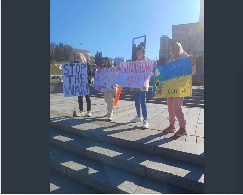 «Я не сдамся»: Инициатор майдана против Зеленского – жертва или провокатор СБУ? «Я не сдамся»: Инициатор майдана против Зеленского – жертва или провокатор СБУ?