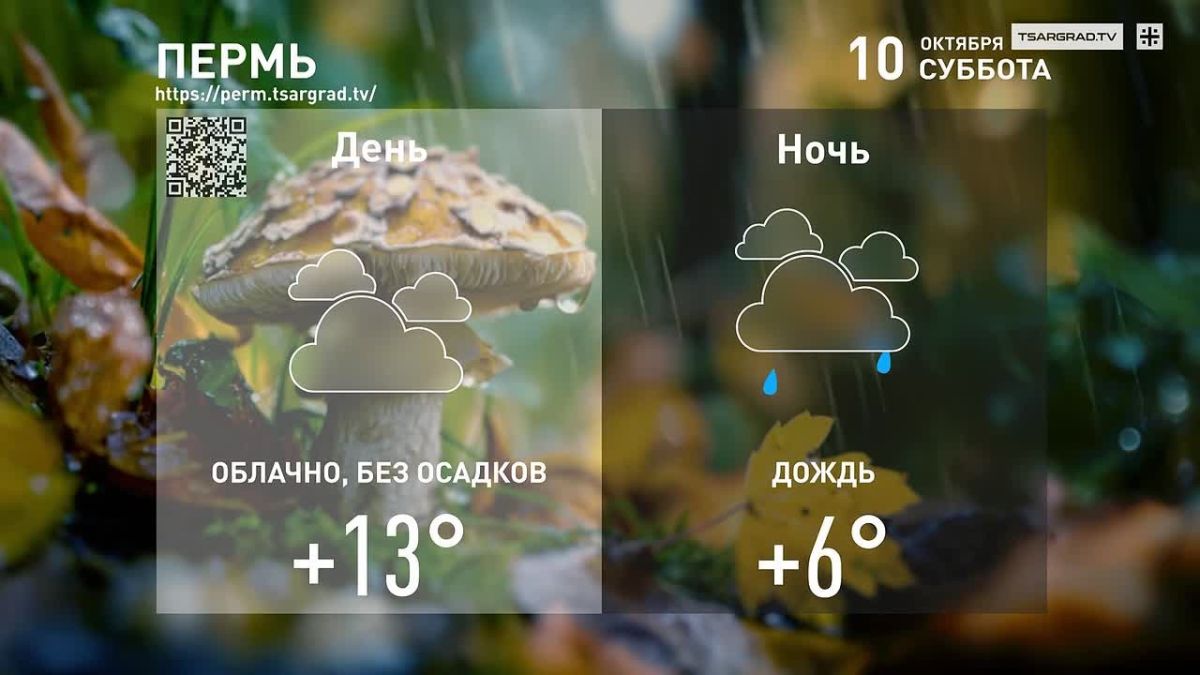 Ещё не хочется зимы,.
Ещё пока я верю в осень