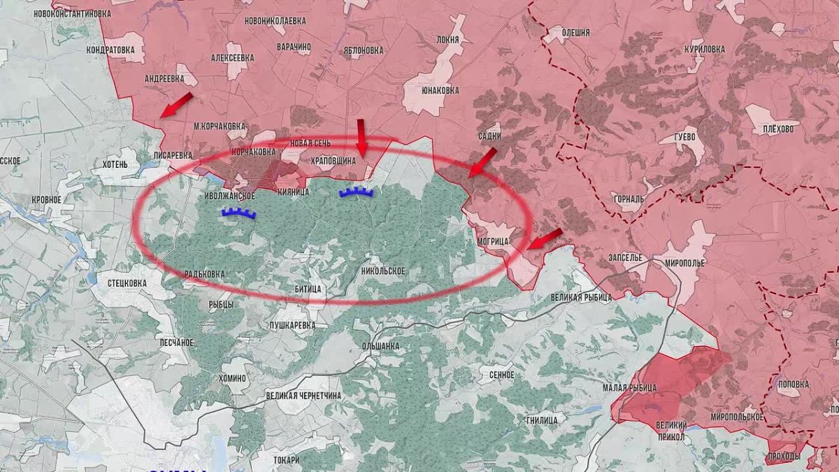 Олег Царёв: Фронтовая сводка 10 октября, видеоформат