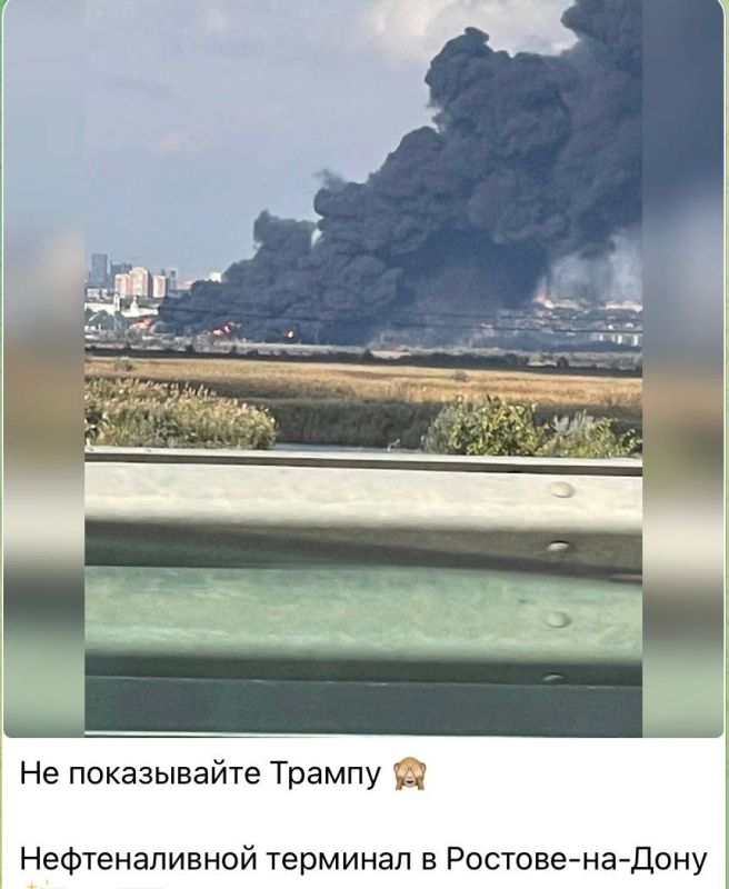 Юлия Витязева: А потом эти же персонажи будут возмущенно вопрошать, почему их Трамп не за партнеров, а просто имеет… Юлия Витязева: А потом эти же персонажи будут возмущенно вопрошать, почему их Трамп не за партнеров, а просто имеет…